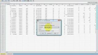 SPSS VideoSeminar  Teil 19 externe Daten  Word Excel exportieren [upl. by Ytsenoh]