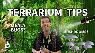 Terrarium Tips Plant Maintenance [upl. by Eitsirk347]