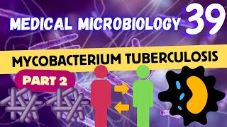 Mycobacterium tuberculosis TB Transmission amp Pathogenesis Part 2 شرح بكتيريا السُل الدرن [upl. by Kacey]