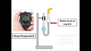 Viscosity coefficient measurement with Ostwalds viscometer  Animated Practical Instruction [upl. by Sonaj592]