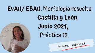 Morfología resuelta EBAU Castilla y León junio 2021 Práctica 13 [upl. by Nirac]