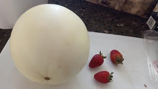 Irene Bee View Vlogger is live Lets Peel Rock Melon amp strawberrypeel rockmelon yummy [upl. by Notreb]