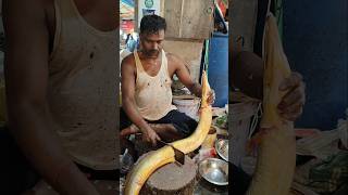 Fish Cutting Skills  Great Giant Eel Fish Cutting Live In Fish Market  shorts fish fishing [upl. by Nolahp123]