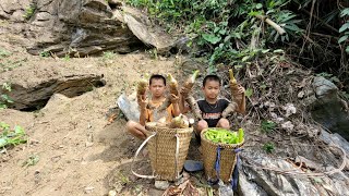 Harvest taro tubers and beans and go to the market to sell [upl. by Manlove]