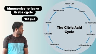 Mnemonics to learn KREB CYCLE in Kannada  TCA CYCLE  CITRIC ACID CYCLE Trick credits  VIPIN SIR [upl. by Hannahsohs502]