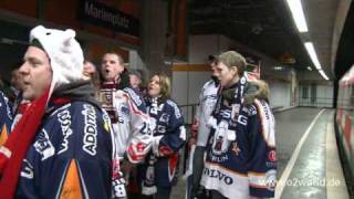 Eisbären Sonderzug Fans fahren nach München [upl. by Gnouv]