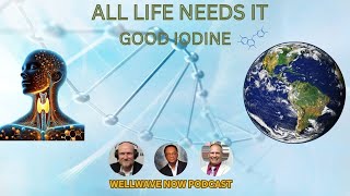 All Life Needs IT Good Iodine [upl. by Greiner991]