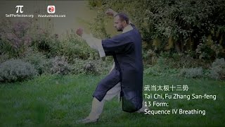 Tai Chi Fu Zhang Sanfeng 13 Form Sequence IV Breathing [upl. by Elwee]