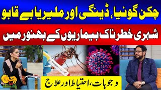 Chikungunya Dengue and Malaria Cases in Karachi  Treatments and Precautions  G Utha Pakistan [upl. by Okikuy]