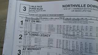 Northville Downs 8292020 Race 3 Warm Up [upl. by Ramses]