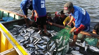 Lokal na Merkado ng Bangus  Part 1  TatehTV Episode 42 [upl. by Ledah]