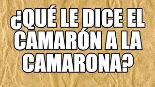 5 Adivinanzas en Español ¿Qué le dijo un jardinero a otro [upl. by Zerlina]