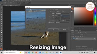 Resizing image in Photoshop [upl. by Yamauchi]