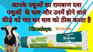 himalaya scavon vet cream uses in Hindi ll पशुओं के होने वाले घाव को ठीक करें ll संक्रमण रोके ll [upl. by Ekal]