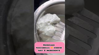 Mozzarella cheese 🧀 making just 2 ingredients cheese manamwithsathya ytshort [upl. by Anire]