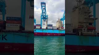 portacontenedores maersk puertodealgeciras containership merchantnavy shiplovers ship [upl. by Brandais]