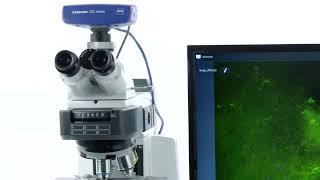 ZEISS Labscope Multichannel Fluorescence [upl. by Schoening]