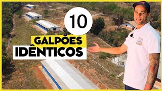 10 GALPÕES IDÊNTICOS GRANDE PROJETO de PRODUÇÃO de OVOS CAIPIRAS [upl. by Sosanna]