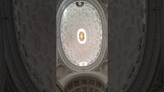 San Carlino Barromini Roma travel rome romeitaly history holliday shorts walk walkingtour [upl. by Ateloj102]