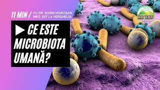 🦠 Ce Este Microbiota Umană p15  Dr Moroșan Sorin 2021 HERGHELIA [upl. by Alenoel]