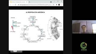 Metabolismo Microbiano  Clase 2 Parte 1 [upl. by Lachus248]