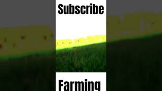 Farming lover new song music trending viralshort viralvideo youtubeshorts motivational [upl. by Edmon]