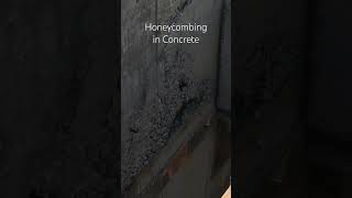 Honeycombing in concrete buildingconstruction concrete structure civil construction [upl. by Gazo960]