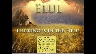 Month of Elul Tribe of Gad THE KING is in the Field 09012024 [upl. by Nyram413]