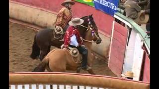 Rodeo Campeones de Chile [upl. by Lucas]