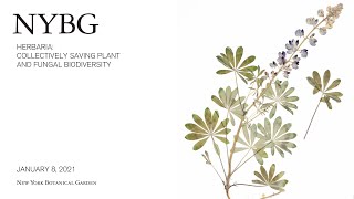 Herbaria Collectively Saving Plant and Fungal Biodiversity [upl. by Harriot]