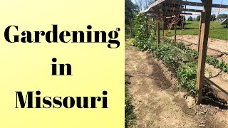 Missouri garden tour  Mittleider method 2019 [upl. by Isawk]