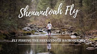 SHENANDOAH FLY  FULL 4K FILM  Backpack Fly Fishing the Shenandoah Wilderness [upl. by Nirhtak]