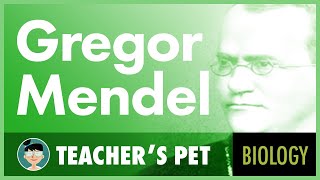 Gregor Mendel [upl. by Mcintosh563]