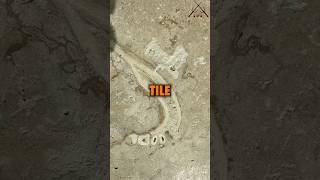 Ep87 Human fossil found in bathroom tile ninjasarebutterflies podcast comedy conspiracy [upl. by Roobbie]