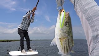 Poling the Flats for Topwater Striper  Field Trips New Jersey  Field Trips with Robert Field [upl. by Hayden]