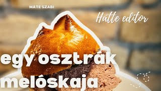 🔴A SÓGOROK FASÍRTJA  a LEBERKÄSE [upl. by Denn168]