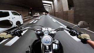 Harley Davidson Fat Boy Midday Ride 2  Pure Engine Sound [upl. by Alli]