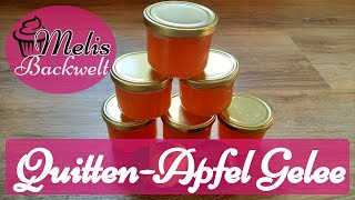 QuittenApfel Gelee mit dem Dampfentsafter ganz einfach selber machen 2021  Melis Backwelt [upl. by Terraj]