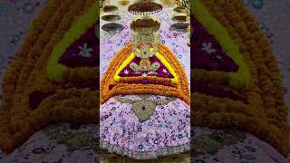 खाटू श्याम प्रभु जी के आज के संध्या दर्शन 🙏 khatunaresh jayshrishyam trending likesubscribe [upl. by Hsotnas268]