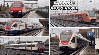 Züge beim Bahnhof Rupperswil  Trains at Rupperswil station 2023 [upl. by Erb334]