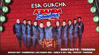 Esa Guacha  A Banda Sombra [upl. by Wilt]