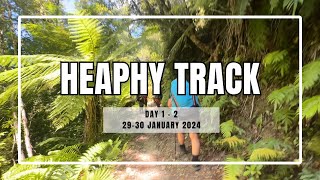 Heaphy Track Day 12  NZ Great Walk  Perry Saddle Hut  Takaka  Waterfall Cave  Golden Bay Air [upl. by Yoko783]