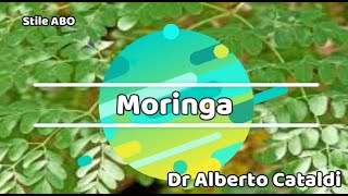 Moringa [upl. by Eihs]