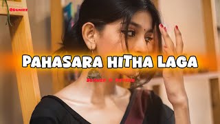 පැහැසර හිත ලග මම අද නවතින්නම්  Slowed amp Reverb  Pahasara Hitha Laga Mama Ada Nawathinnam [upl. by Suruat]