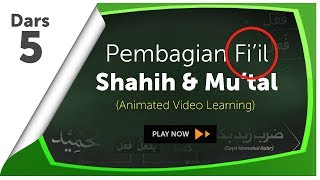 Video Animasi 5 Fiil Shahih dan Fiil Mutal [upl. by Teagan]