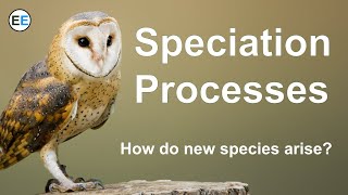 Speciation Processes  How do new species arise [upl. by Atinrahc]