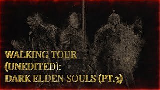 Turning Skyrim into Dark Souls Xbox Load Order in Description [upl. by Taima]