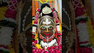 Mahakal Today darshan navratri mahakaleshwar 12jyotirling dailyvlog god song mahadev [upl. by Dygert]