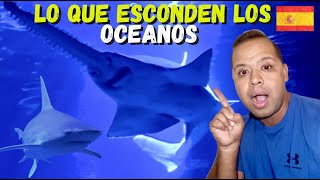 OCEANOGRAFIC  Conoce el ACUARIO MAS GRANDE de Europa ESPAÑA [upl. by Dorrehs]