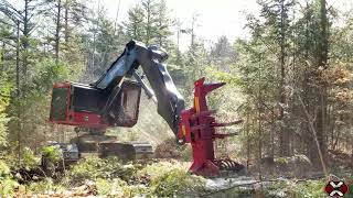 TimberPro TL745D Feller Buncher Cutting in New Hampshire [upl. by Jammin]